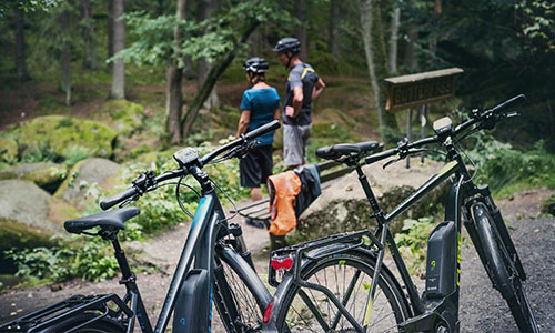 En primer plano se ven dos bicicletas de montaña, detrás hay dos ciclistas mirando hacia el bosque.