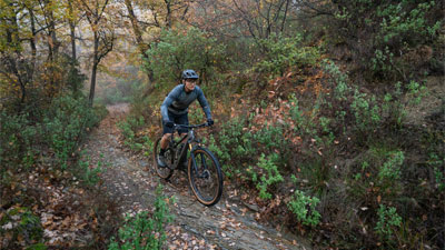 Se ve a un ciclista en su bicicleta de montaña. Va por un sendero a través de un bosque.