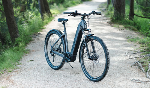 Haga clic aquí para ir a nuestras bicicletas eléctricas de trekking